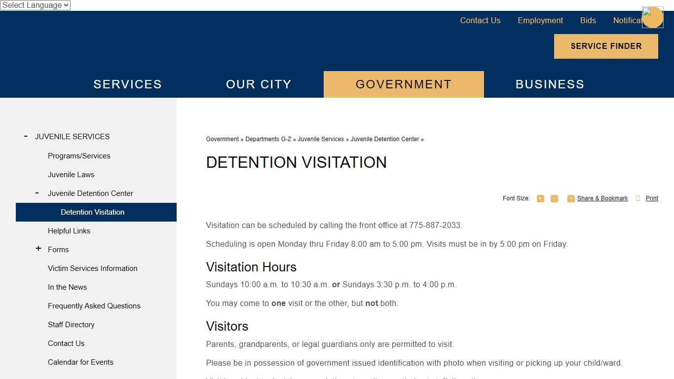 Detention Visitation | Carson City